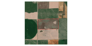 Dundy County Hunting 80