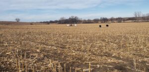 Farm ranch land for sale Franklin Nebraska
