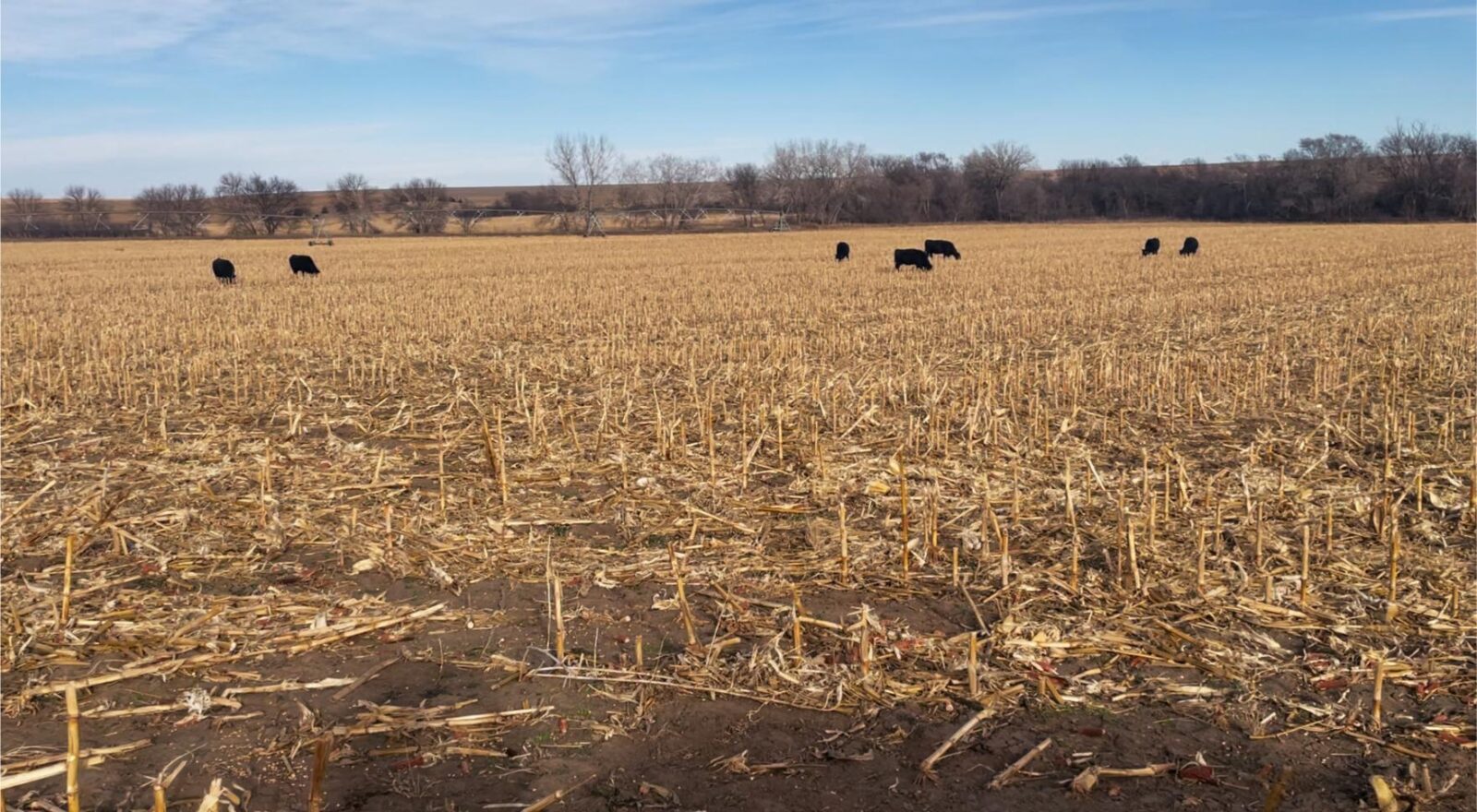 Farm ranch land for sale Franklin Nebraska