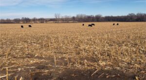 Farm ranch land for sale Franklin Nebraska