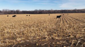 Farm ranch land for sale Franklin Nebraska
