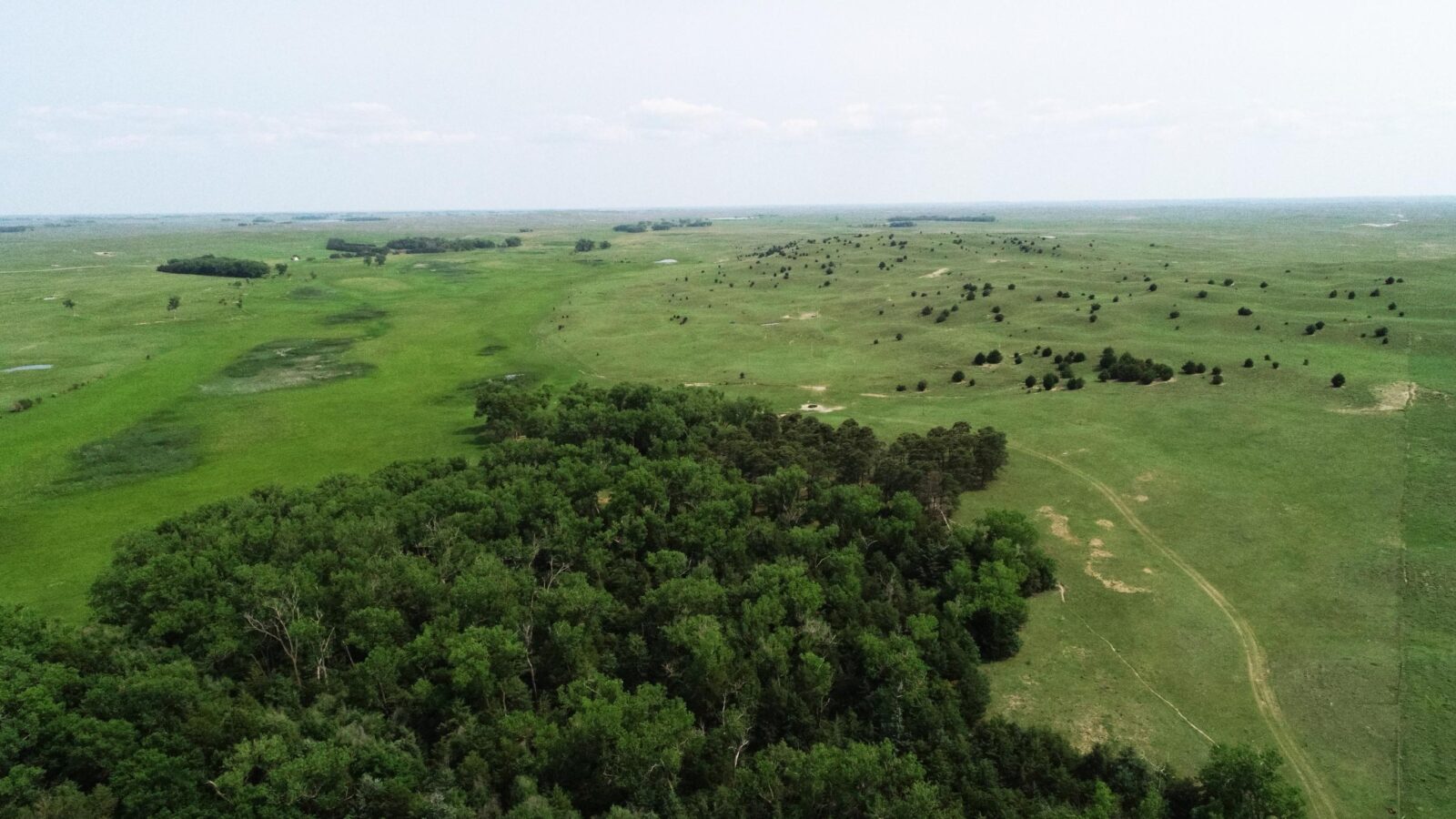 Cattle ranch for sale nebraska sandhills