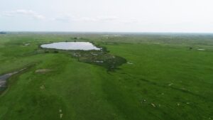 Cattle ranch for sale nebraska sandhills