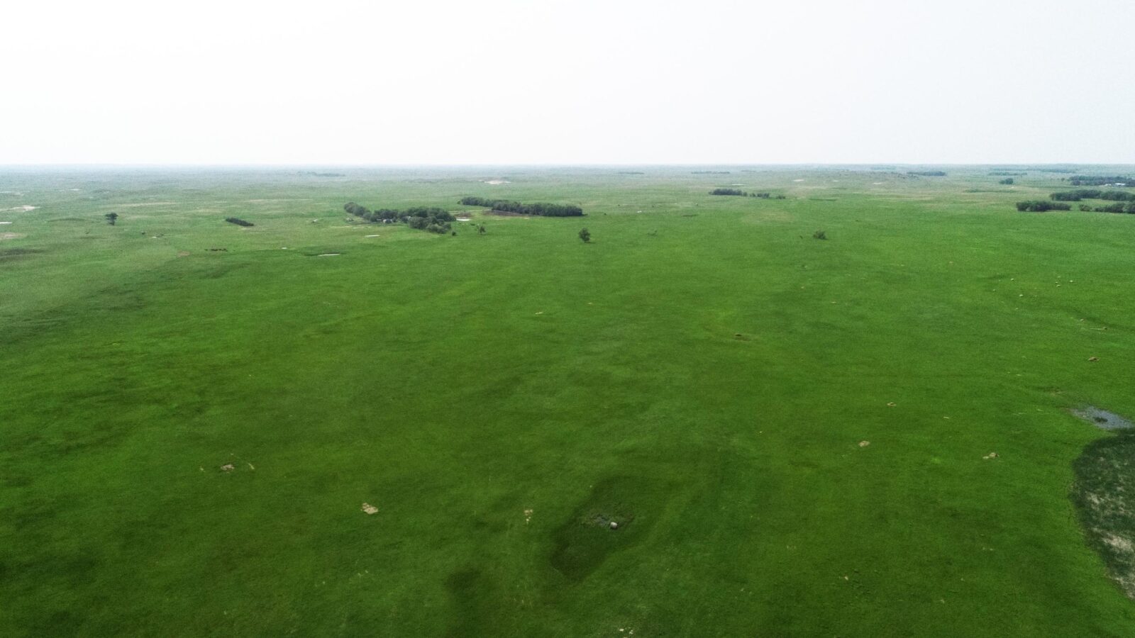 Cattle ranch for sale nebraska sandhills