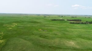 Cattle ranch for sale nebraska sandhills