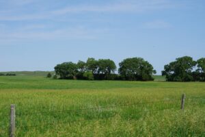 Cattle ranch for sale nebraska sandhills