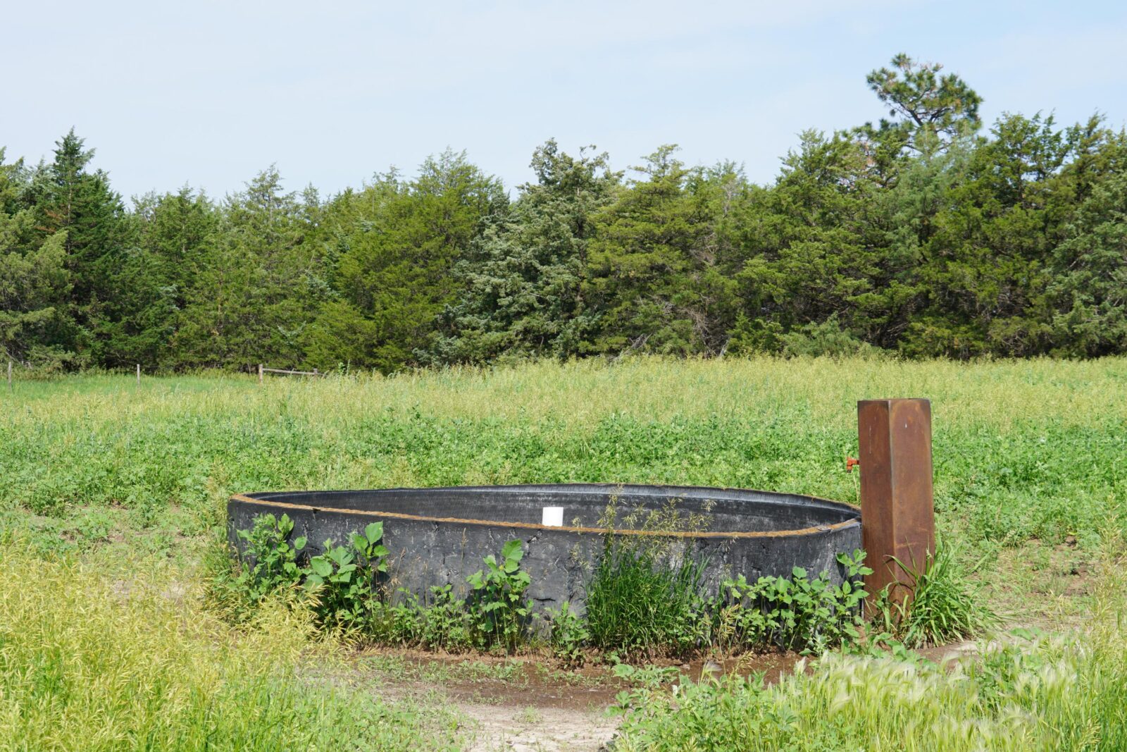 Cattle ranch for sale nebraska sandhills