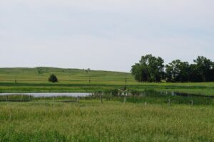 Cattle ranch for sale nebraska sandhills