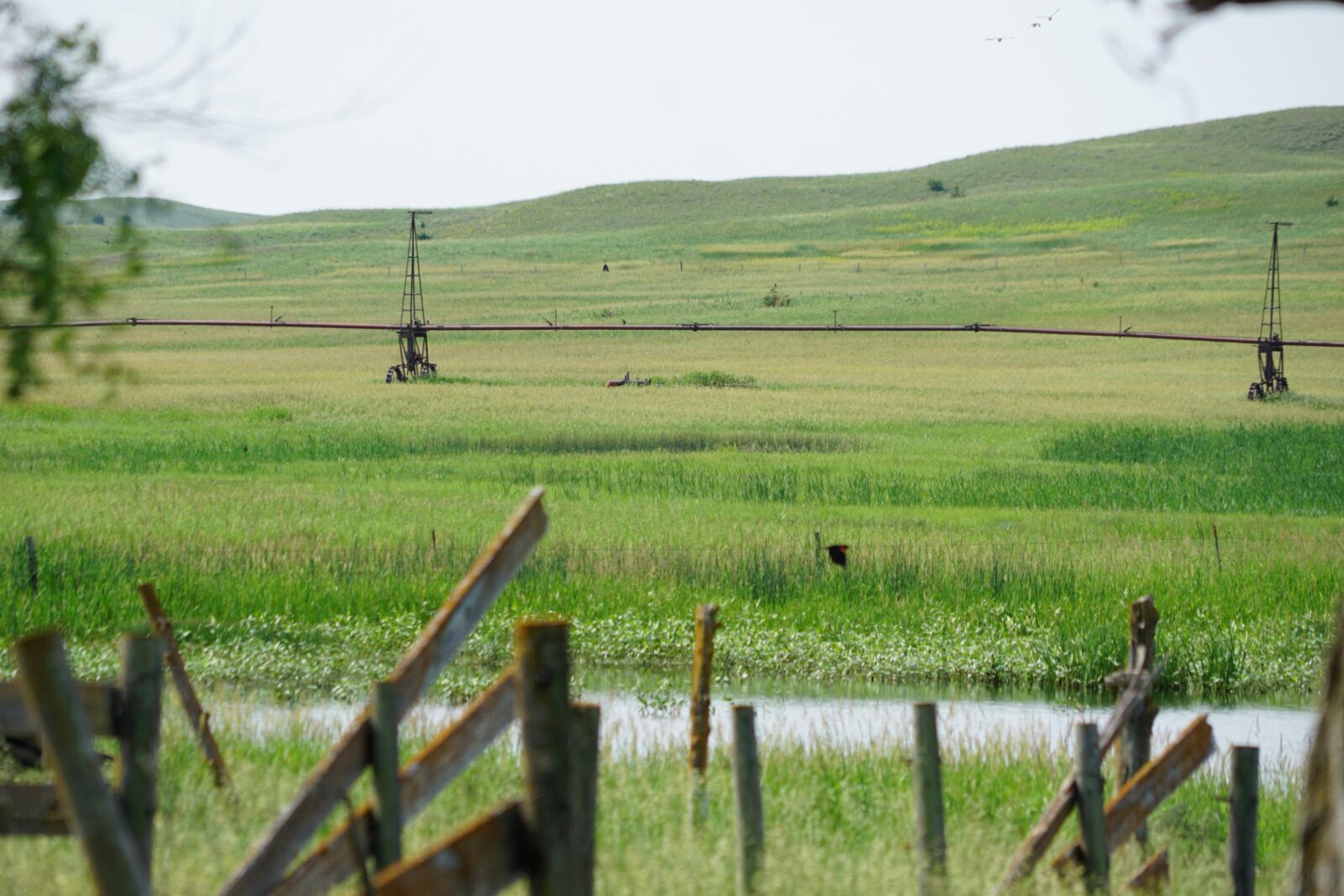 Cattle ranch for sale nebraska sandhills