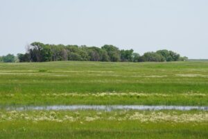Cattle ranch for sale nebraska sandhills