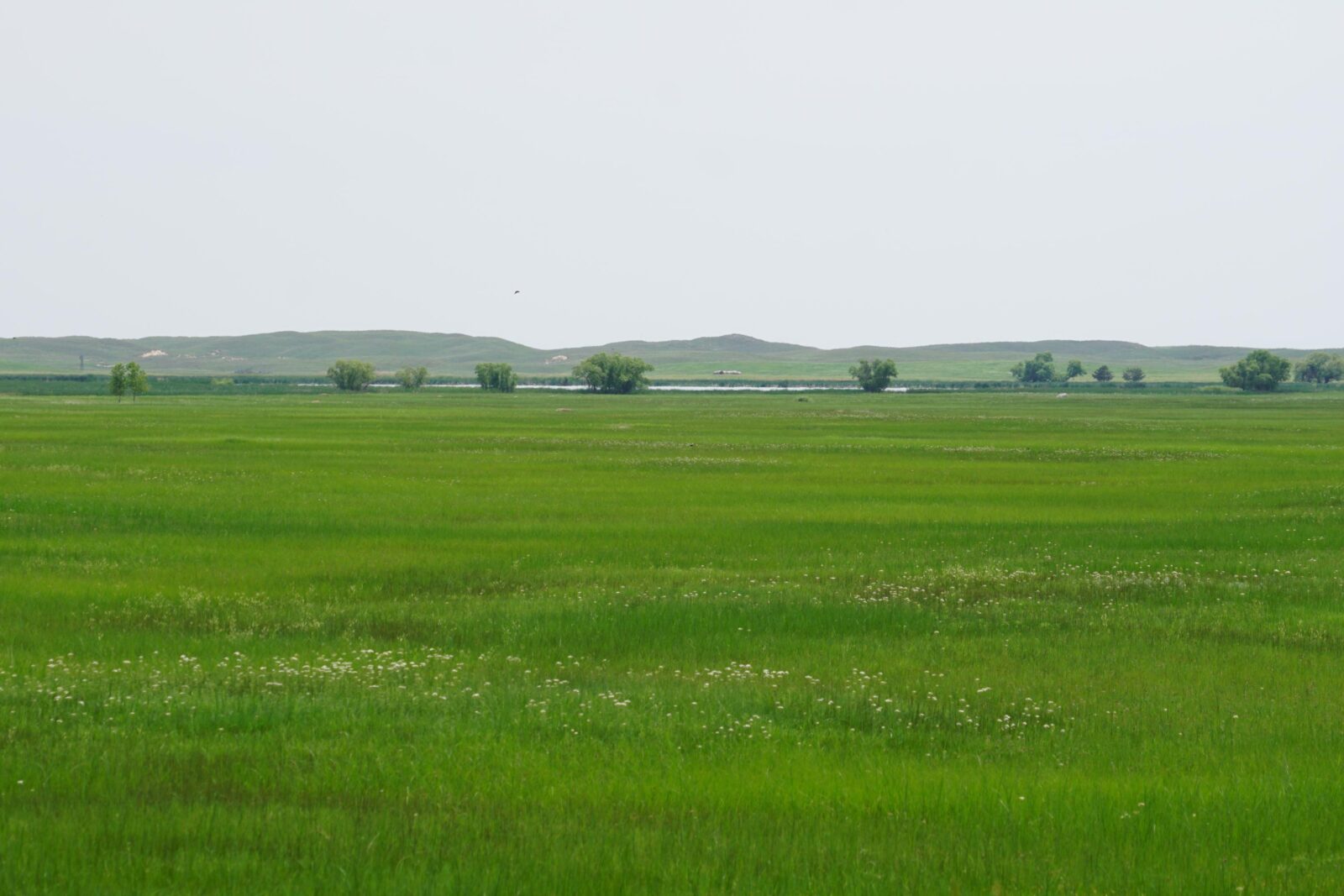 Cattle ranch for sale nebraska sandhills
