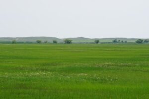 Cattle ranch for sale nebraska sandhills