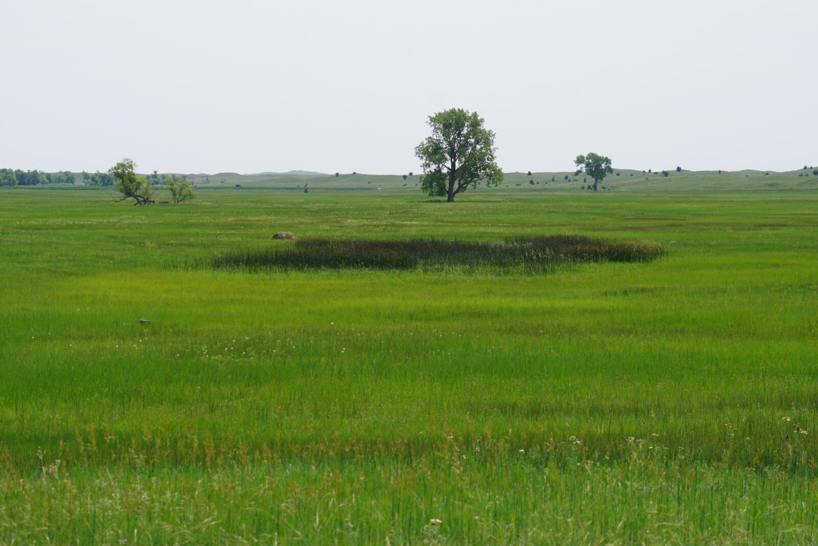 Cattle ranch for sale nebraska sandhills