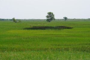 Cattle ranch for sale nebraska sandhills