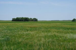 Cattle ranch for sale nebraska sandhills