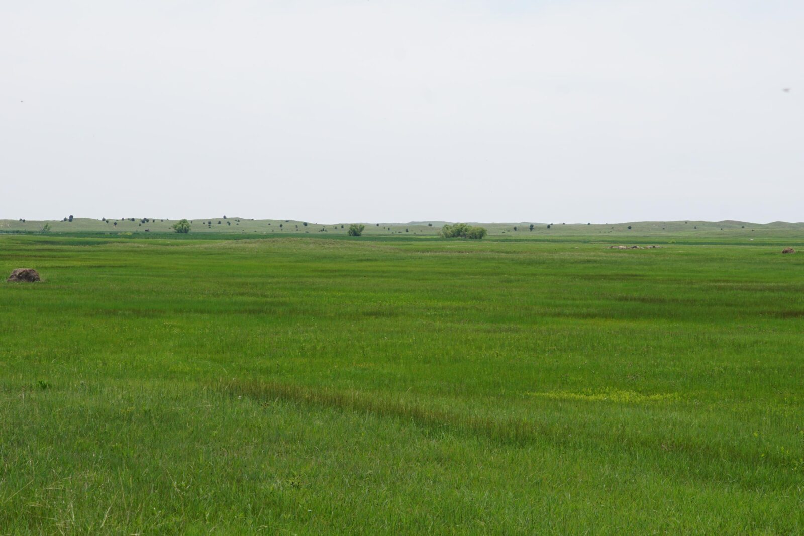 Cattle ranch for sale nebraska sandhills