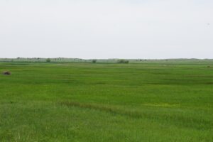 Cattle ranch for sale nebraska sandhills