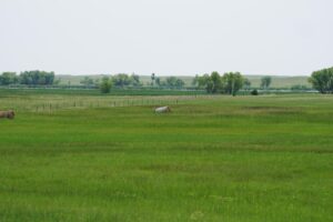 Cattle ranch for sale nebraska sandhills