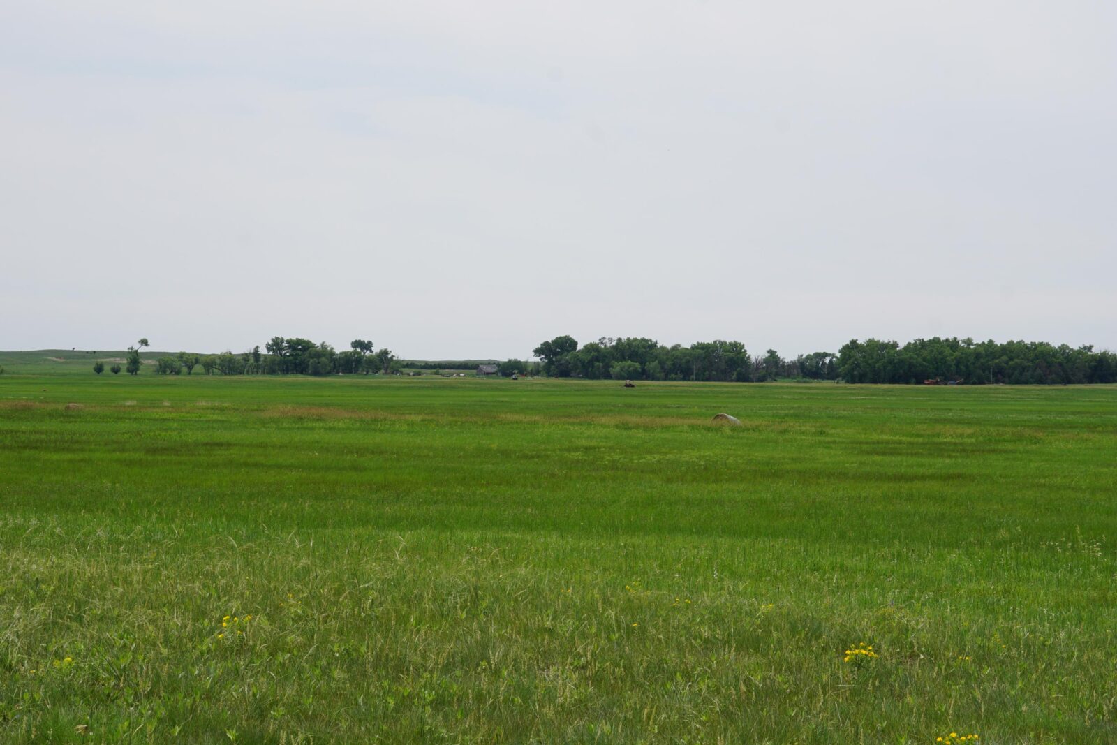 Cattle ranch for sale nebraska sandhills
