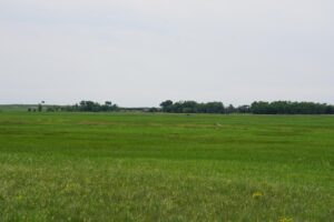 Cattle ranch for sale nebraska sandhills