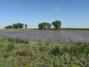 Dundy County pheasant hunting land for sale