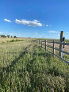 Dundy County pheasant hunting land for sale