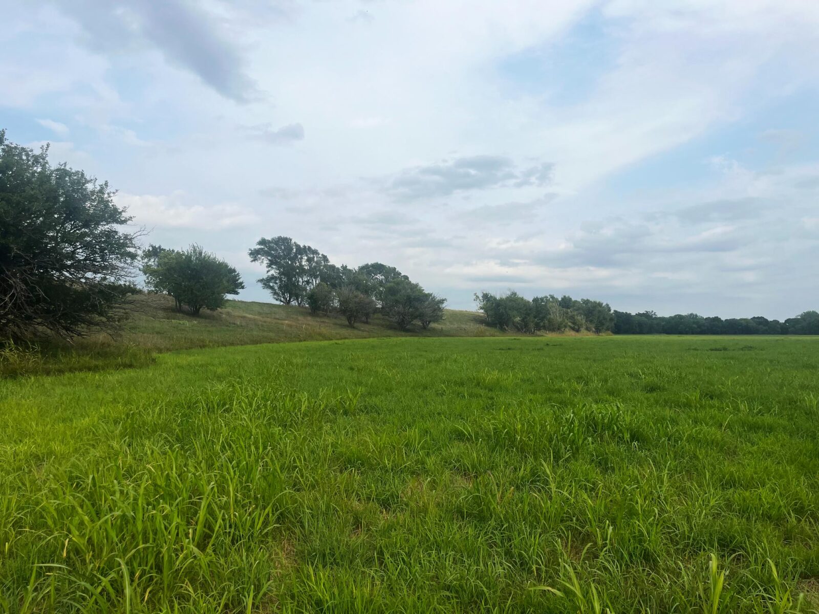 Harlan County Nebraska land auction