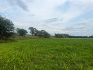 Harlan County Nebraska land auction
