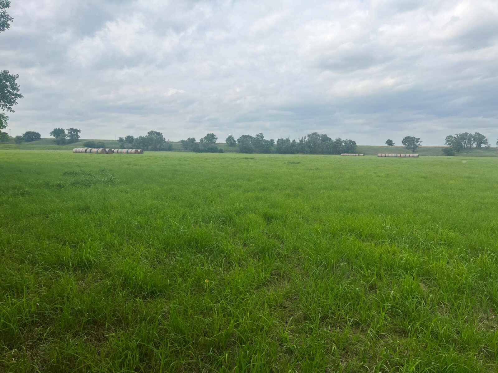 Harlan County Nebraska land auction