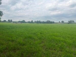 Harlan County Nebraska land auction