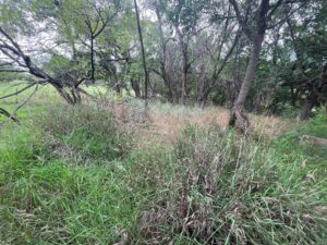 273 Acres, Kenny and Larene Bantam Land Auction