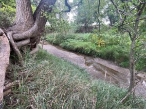 Harlan County Nebraska land auction