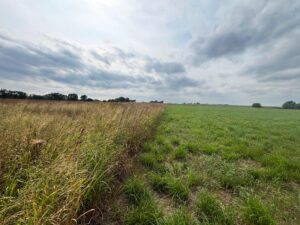 Harlan County Nebraska land auction
