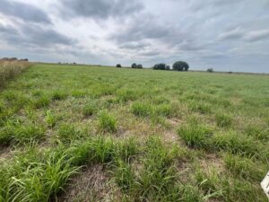 Harlan County Nebraska land auction