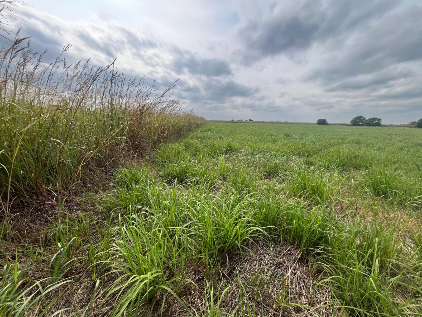 Land auction harlan county nebraska