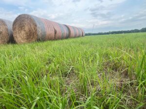 Harlan County Nebraska land auction