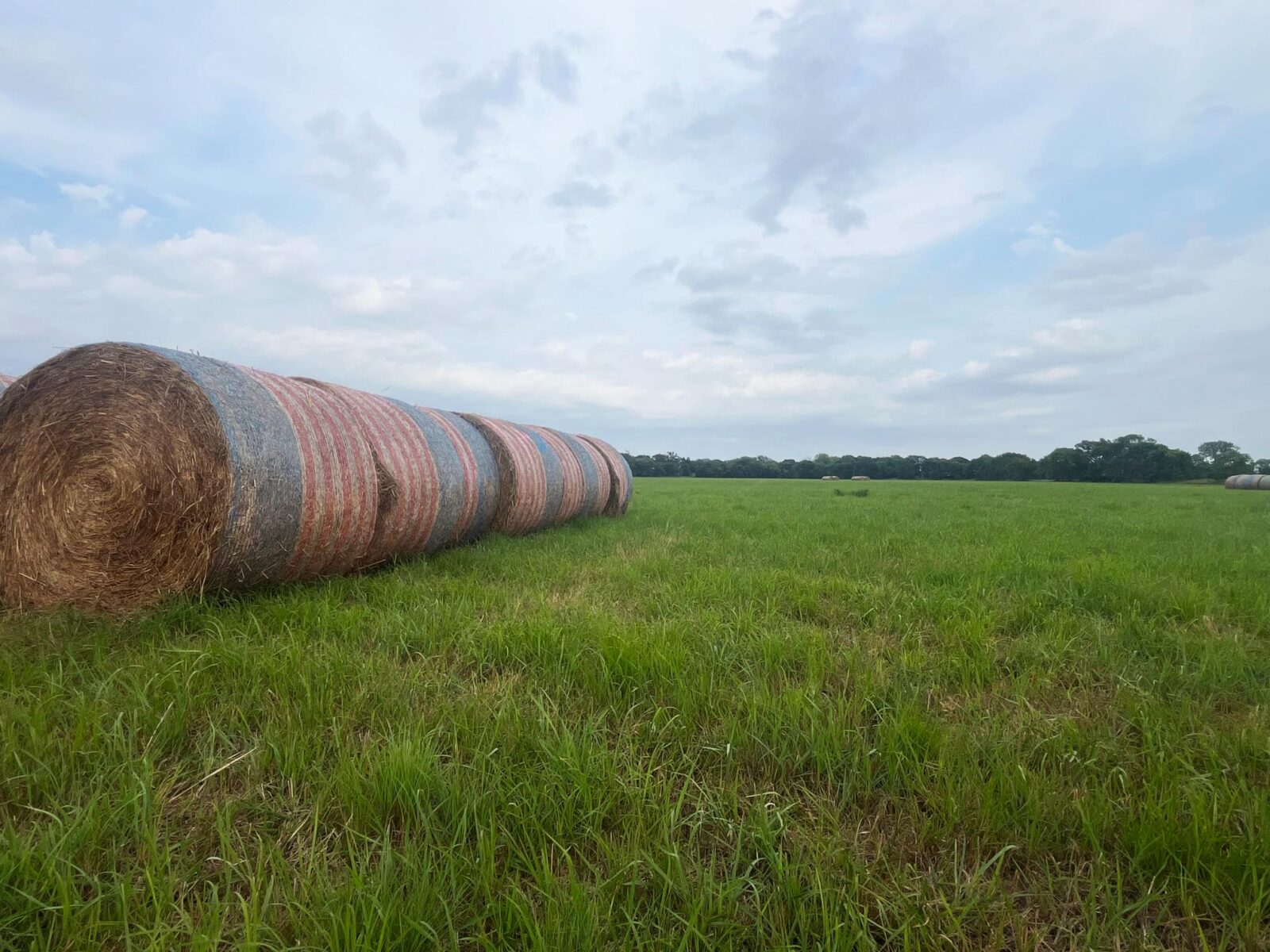 Harlan County Nebraska land auction