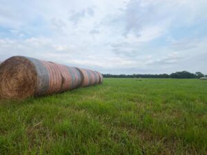 Harlan County Nebraska land auction