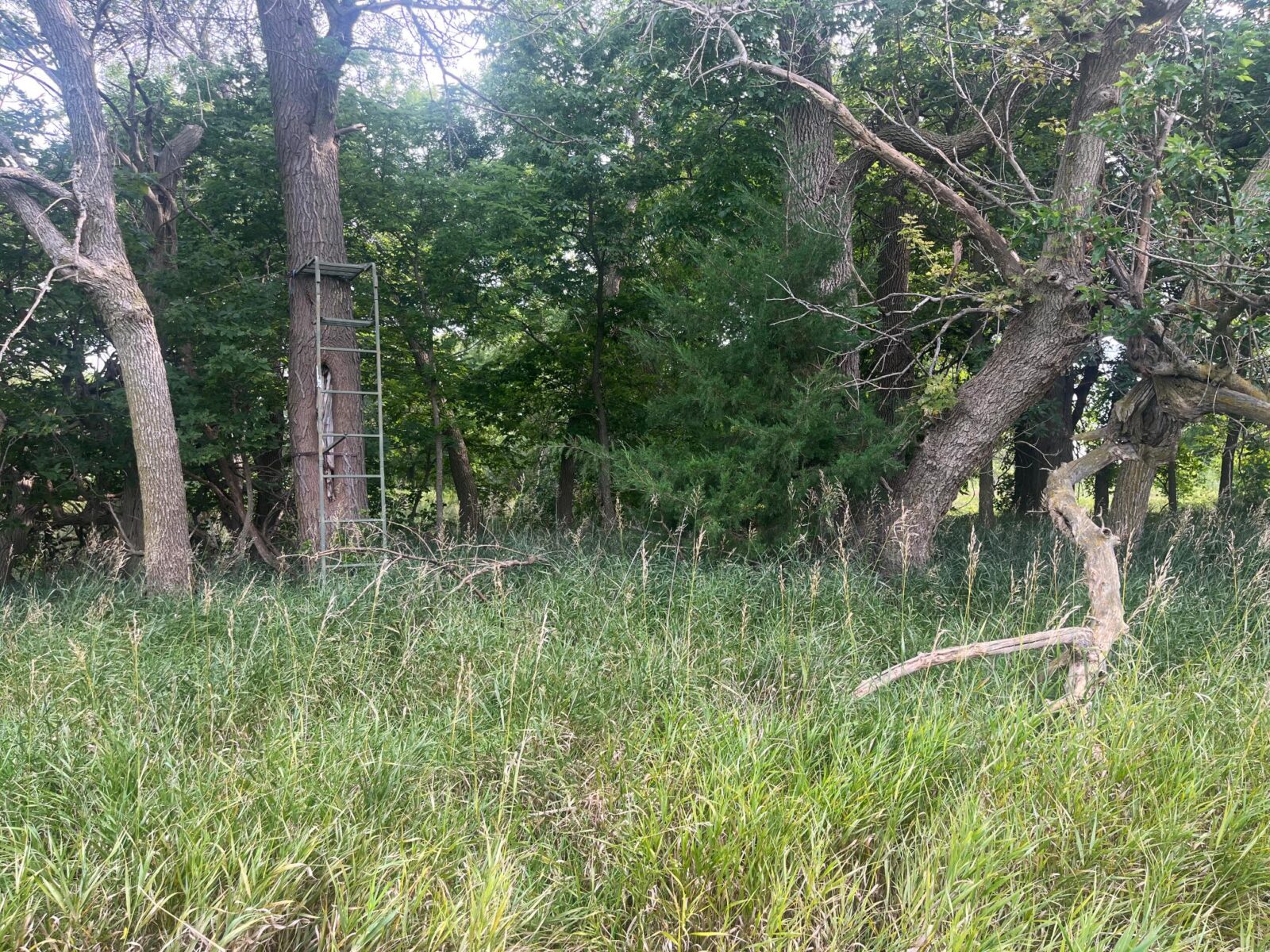 Harlan County Nebraska land auction