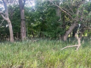 Harlan County Nebraska land auction