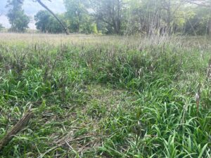 Harlan County Nebraska land auction