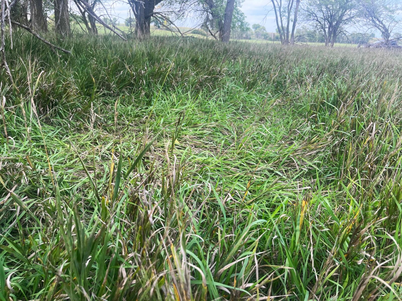 Harlan County Nebraska land auction