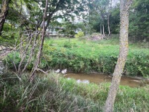 Harlan County Nebraska land auction