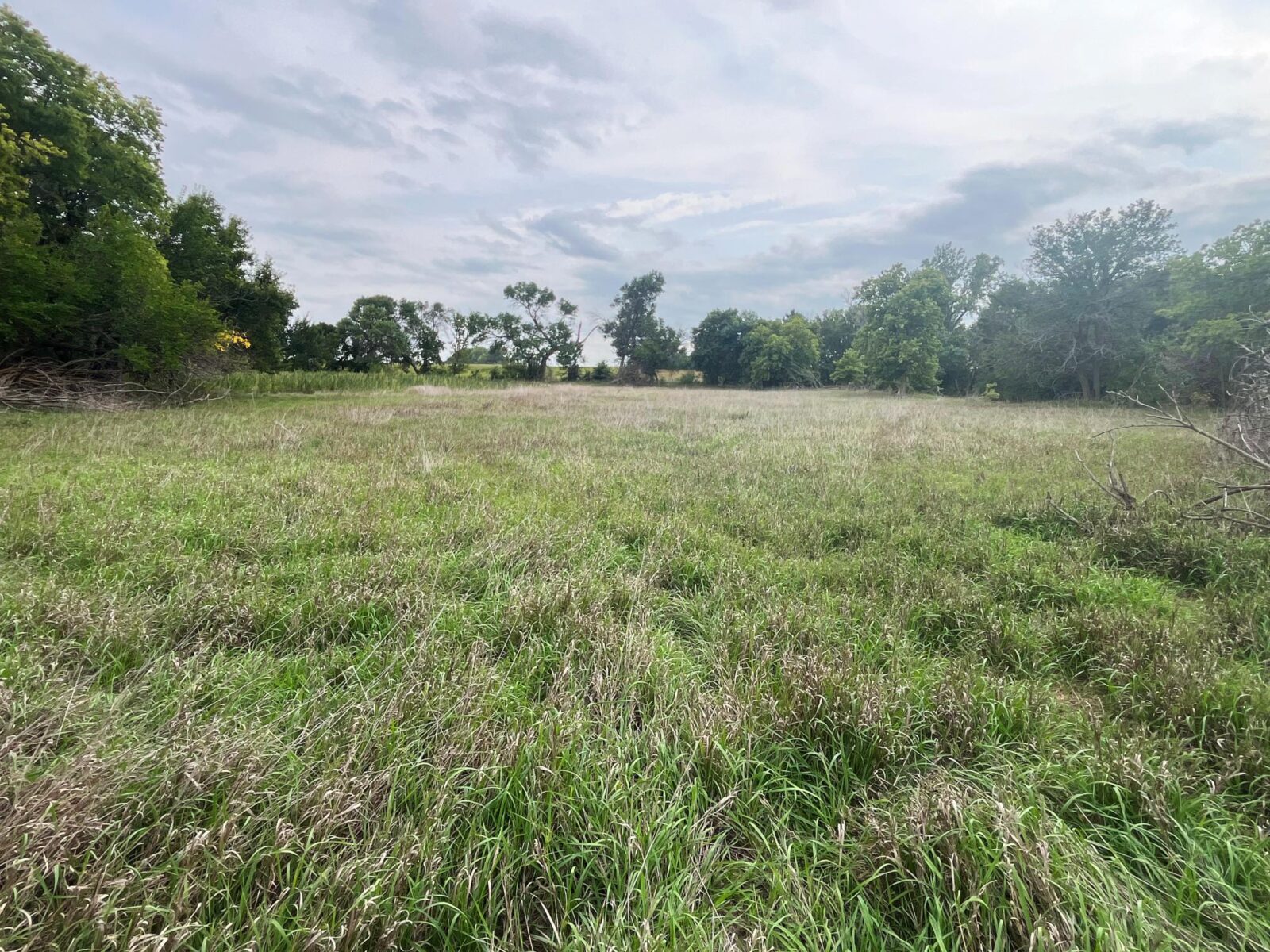 Harlan County Nebraska land auction