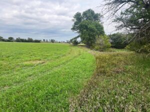 Harlan County Nebraska land auction
