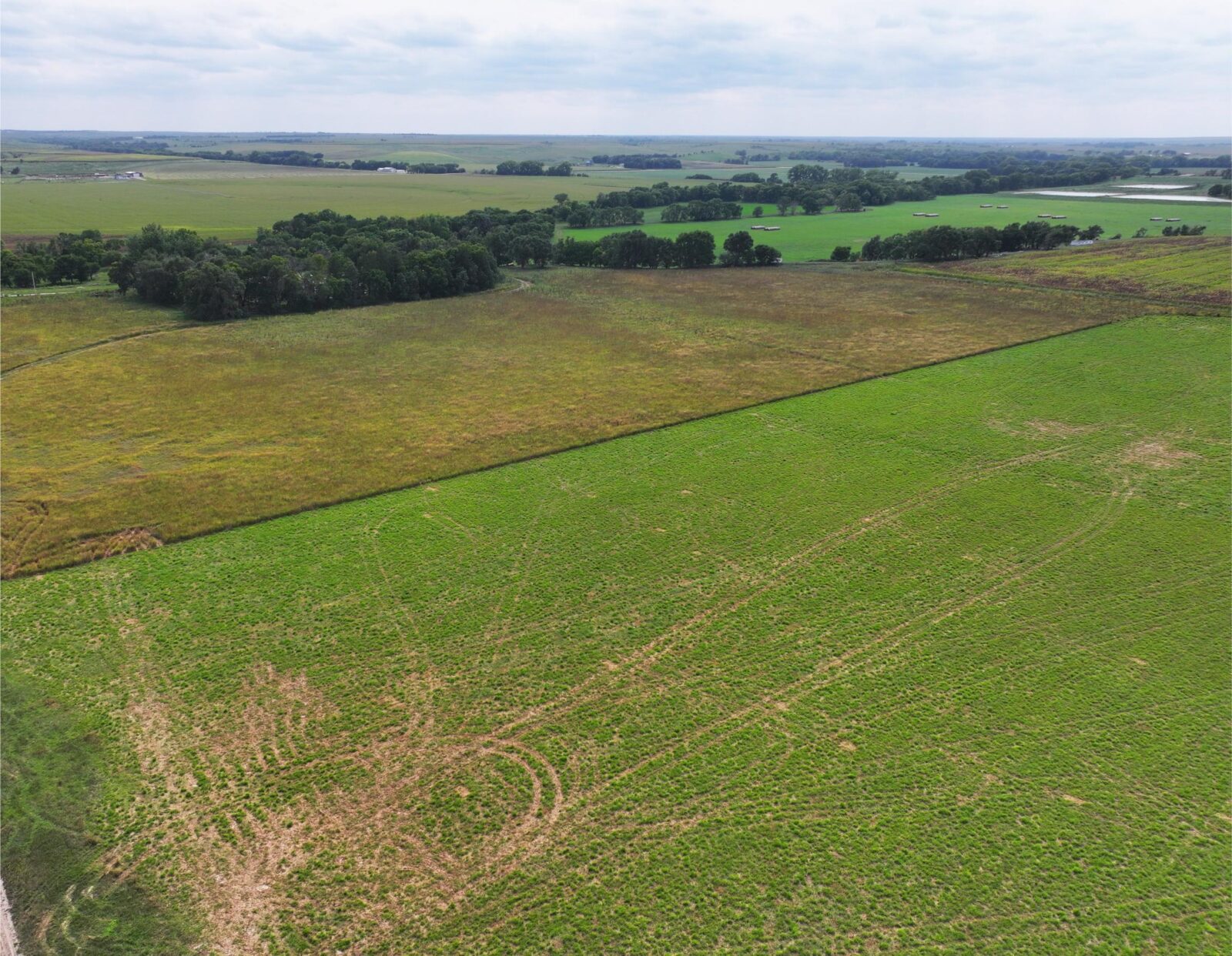 Land auction harlan county nebraska