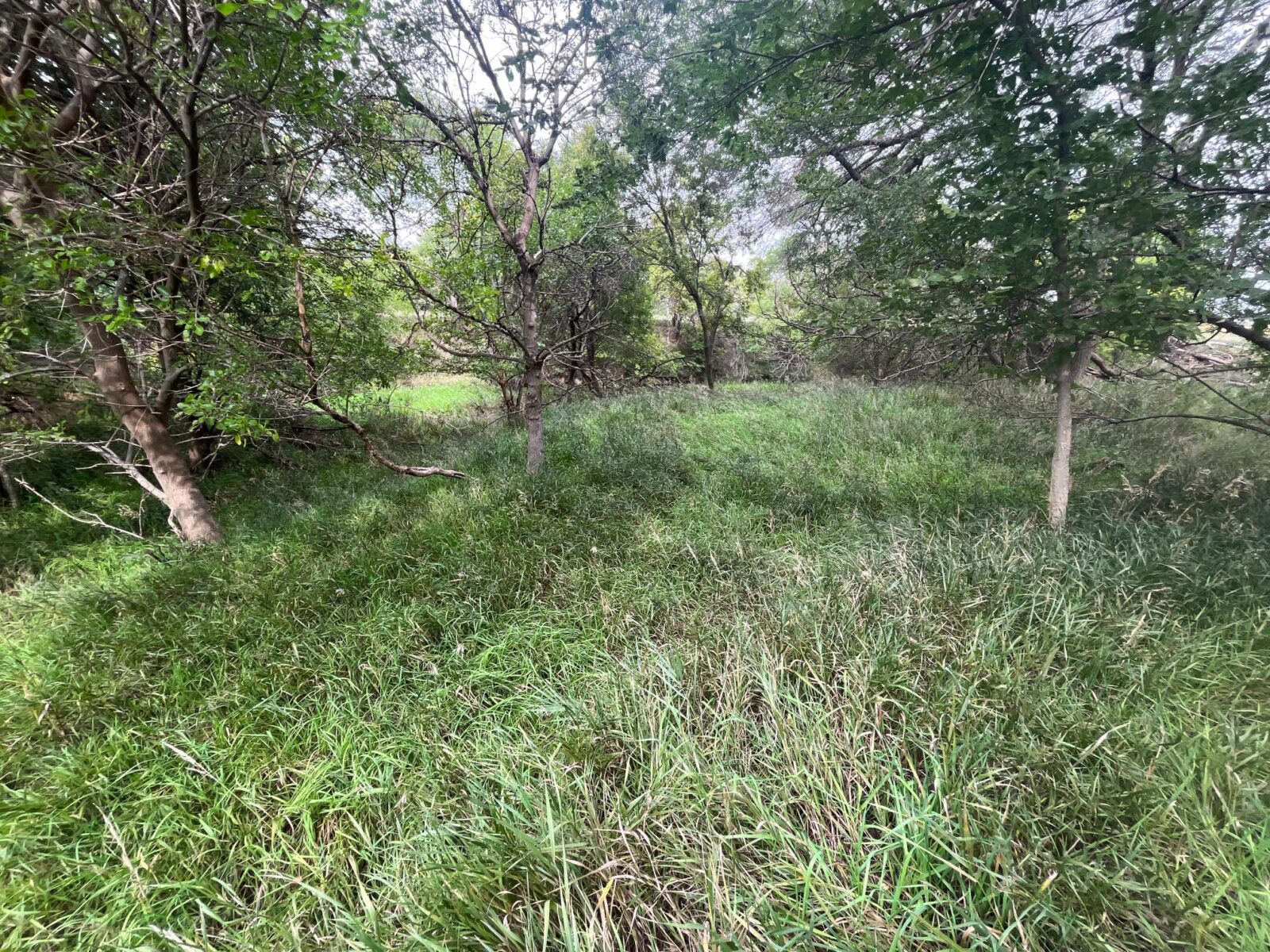 Harlan County Nebraska land auction
