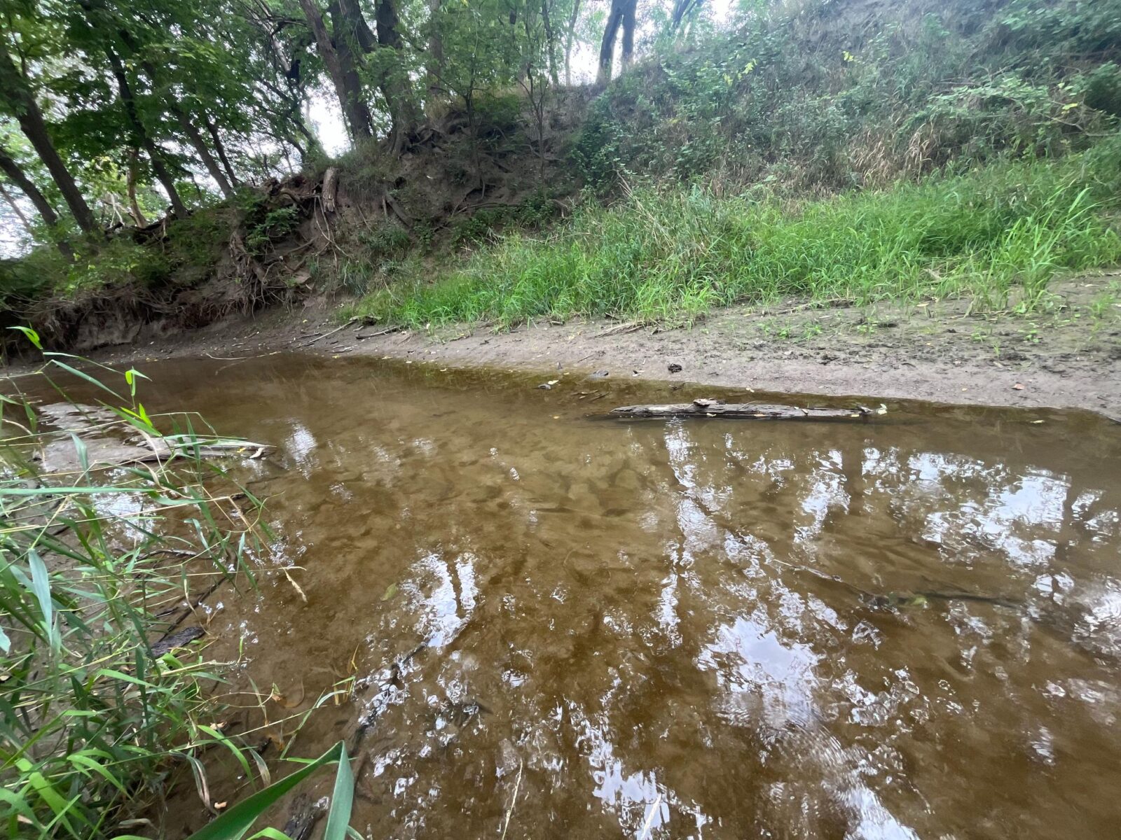 Harlan County Nebraska land auction