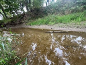 Harlan County Nebraska land auction