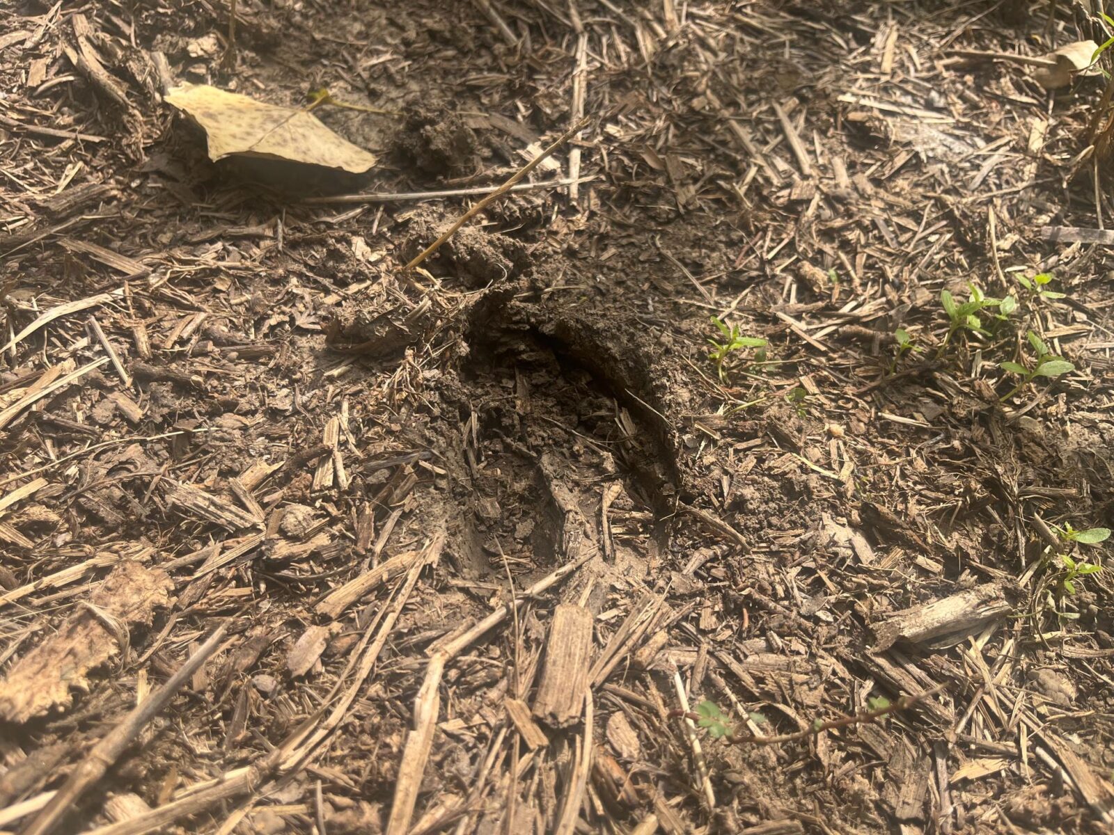 Harlan County Nebraska land auction